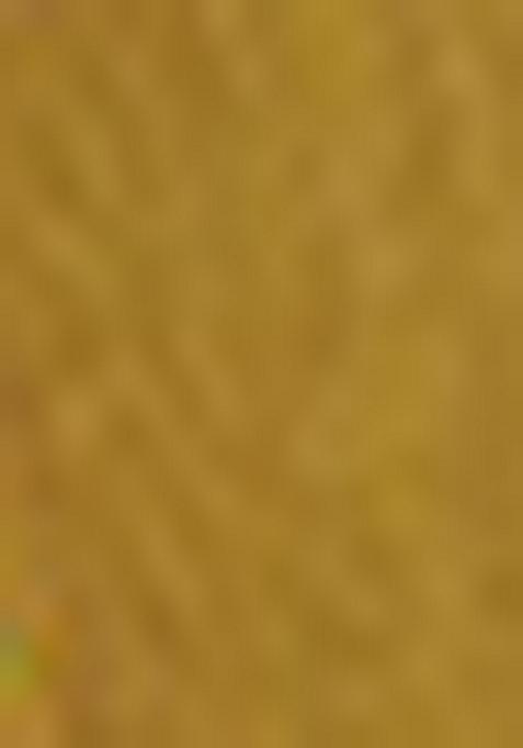 Yellow Sequin Work Net Lehenga Set