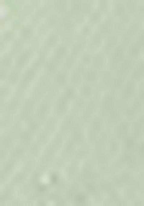 Green Sequin Work Silk Lehenga Set