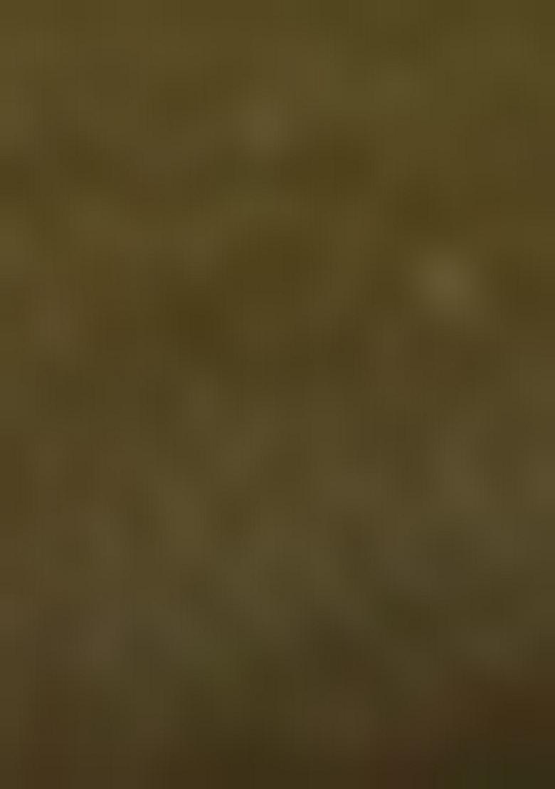 Mehendi Green Embroidered Net Lehenga Set