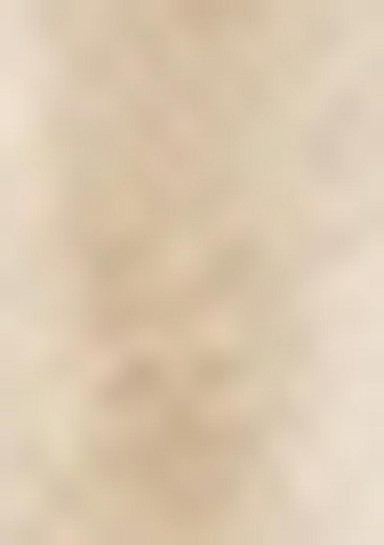 White Zari Work Silk Lehenga Set