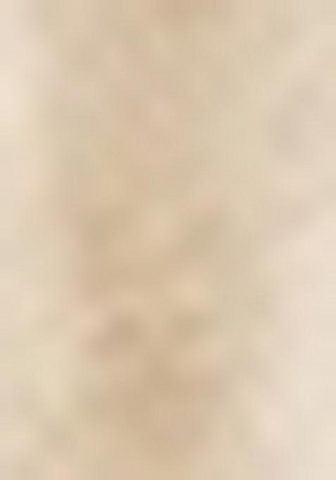 White Zari Work Silk Lehenga Set