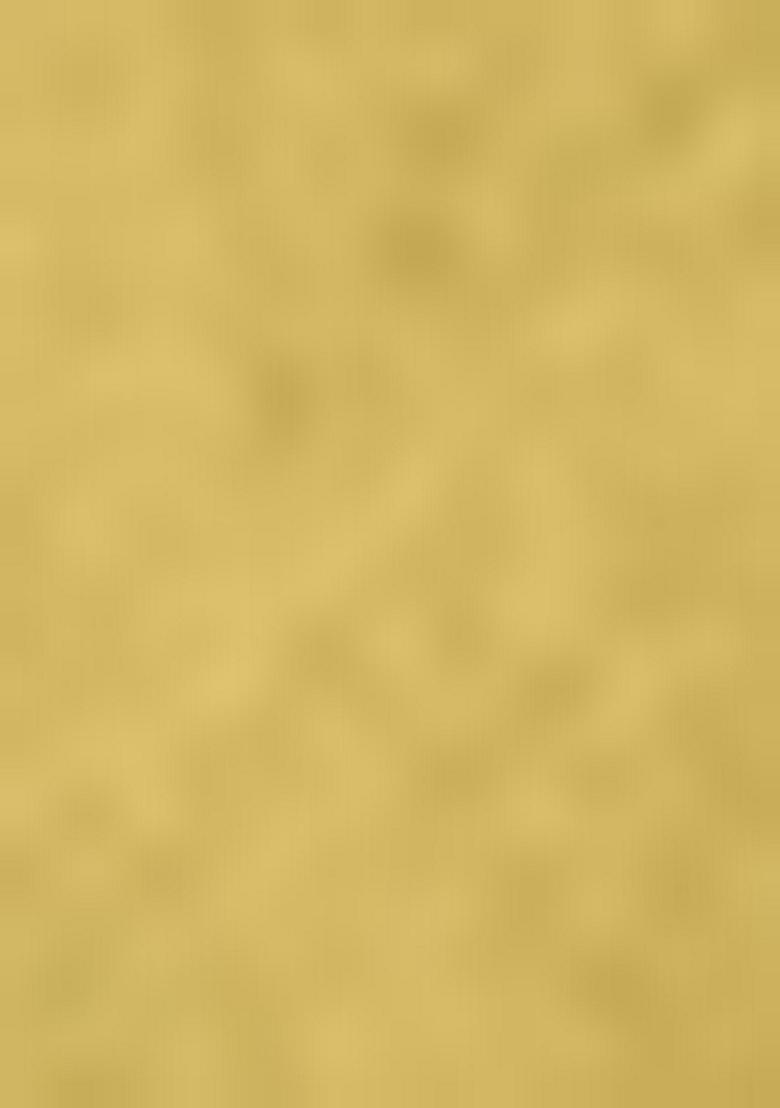 Yellow Sequin Work Banarasi Silk Lehenga Set