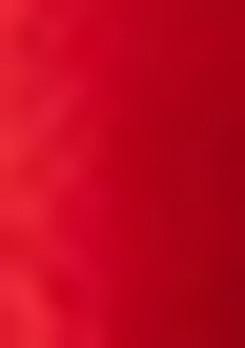 Multi Embroidered Silk Lehenga Set