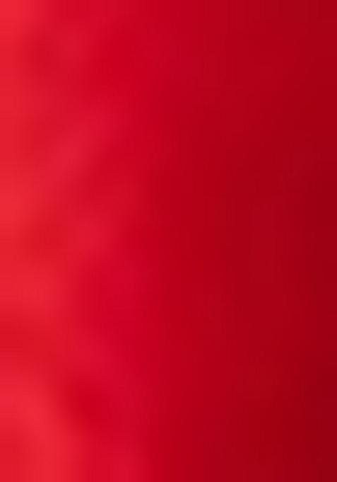 Multi Embroidered Silk Lehenga Set