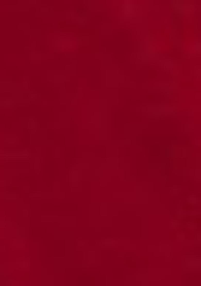 Maroon Embroidered Velvet Lehenga Set