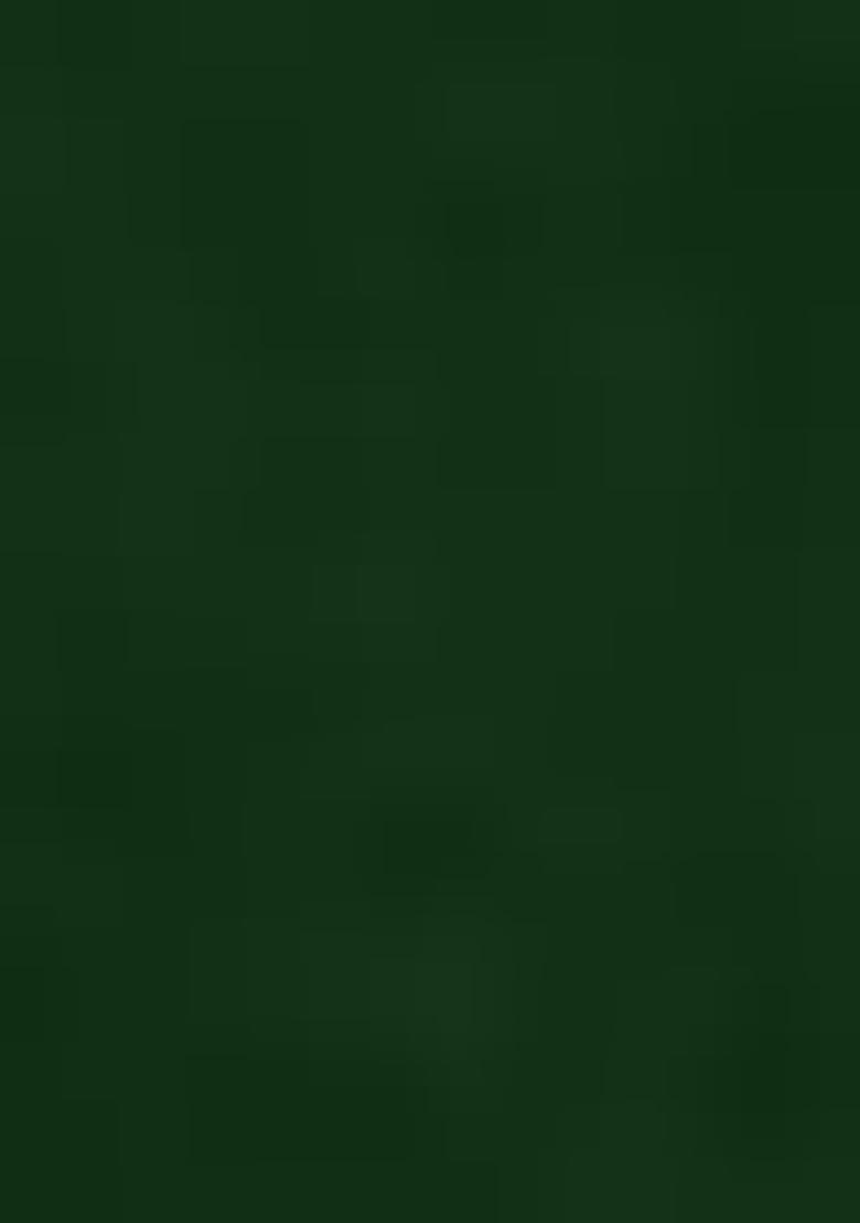 Green Embroidered Velvet Lehenga Set