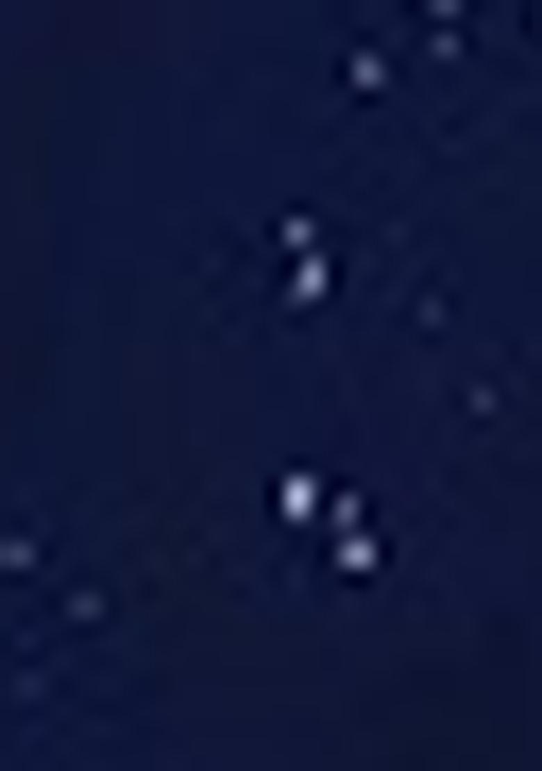 Blue Embroidered Velvet Lehenga Set