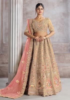 Chiku Brown Aari And Patch Work Banarasi Silk Lehenga Set With Dupatta