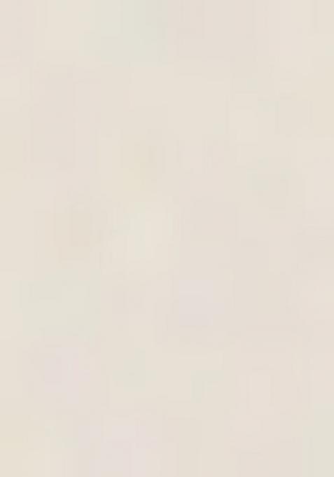 White Embroidered Silk Bridal Lehenga Set With Dupatta