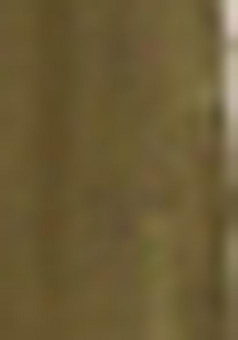 Green Embroidered Net Lehenga Set With Dupatta