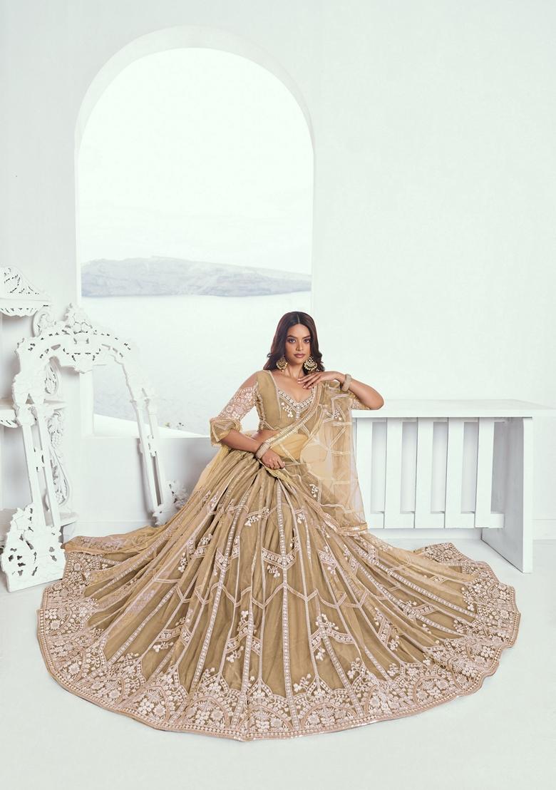 Beige Embroidered Net Lehenga Set With Dupatta