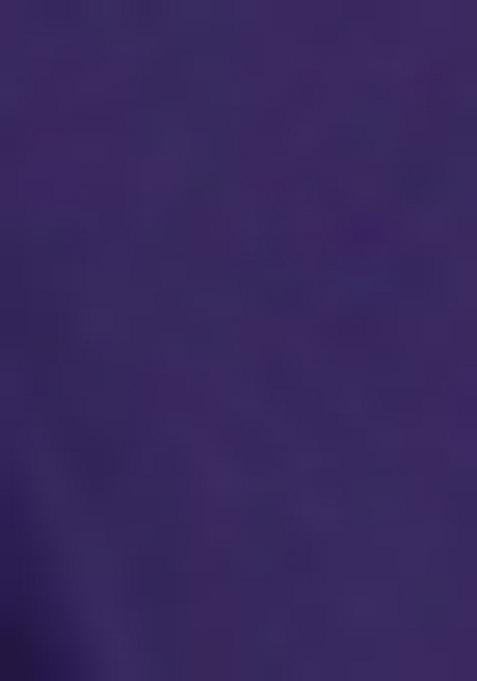 Purple Solid Georgette Lehenga Set