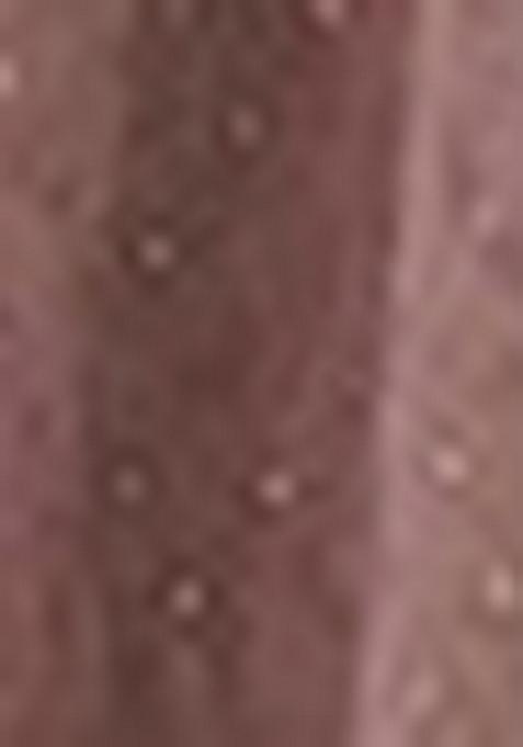 Pink Rosy Brown Sequin Embroidered Georgette Lehenga Set