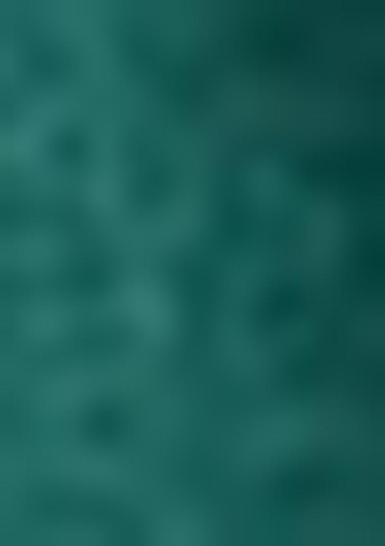 Dark Green Sequin Embroidered Silk Lehenga Set