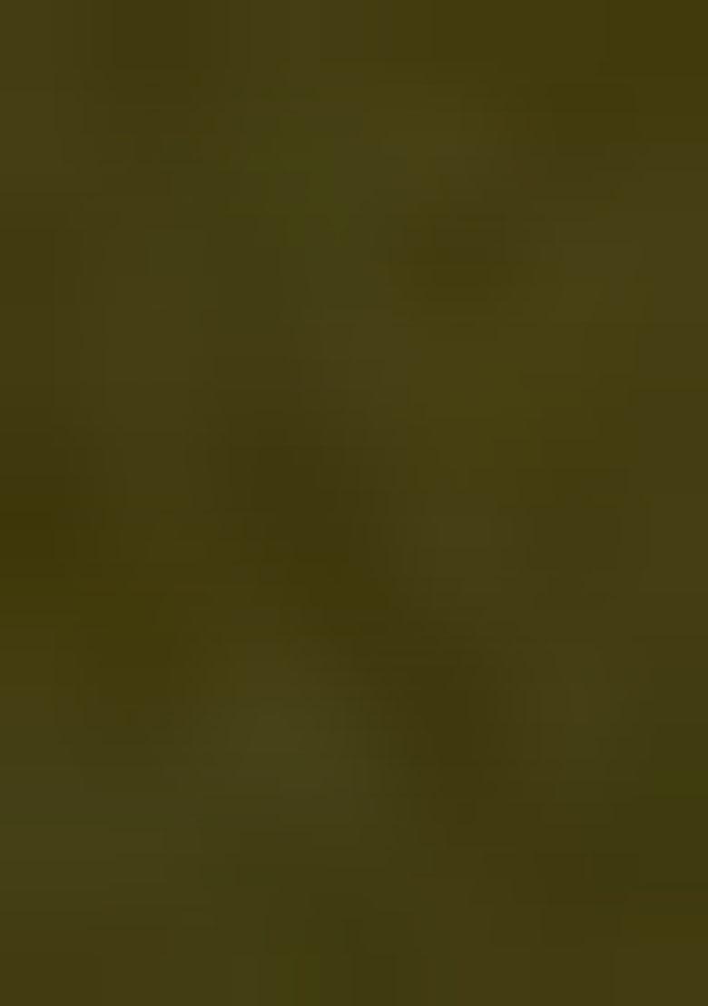 Mehandi Green Embroidered Georgette Lehenga Set With Dupatta