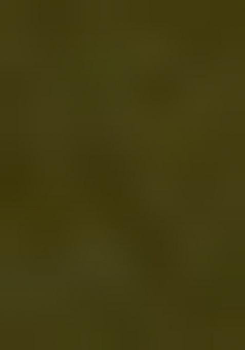 Mehandi Green Embroidered Georgette Lehenga Set With Dupatta