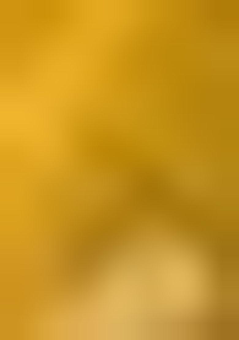 Mustard Yellow Embroidered Georgette Lehenga Set With Dupatta