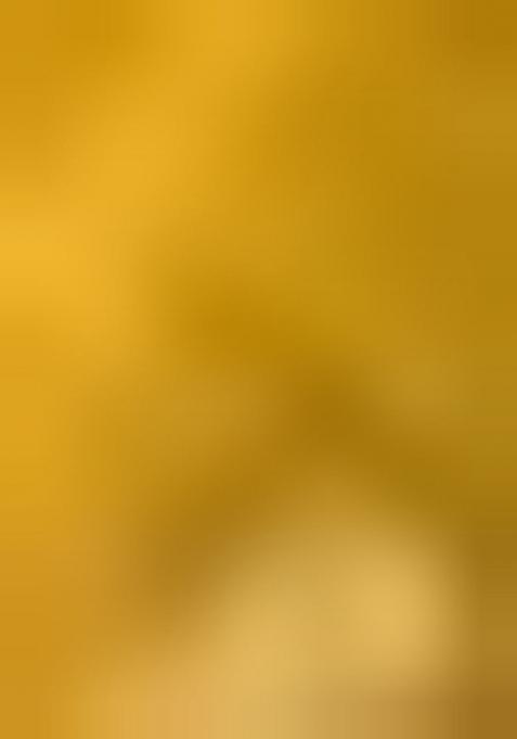 Mustard Yellow Embroidered Georgette Lehenga Set With Dupatta