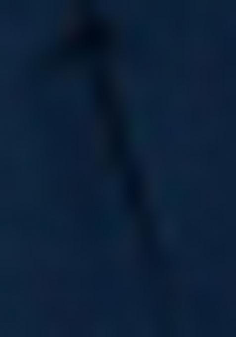 Blue Printed Georgette Lehenga Set