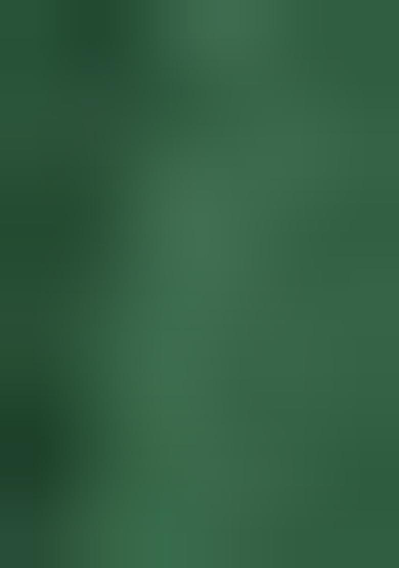 Green Printed Tussar Silk Lehenga Set With Dupatta