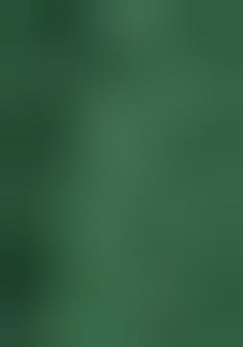 Green Printed Tussar Silk Lehenga Set With Dupatta