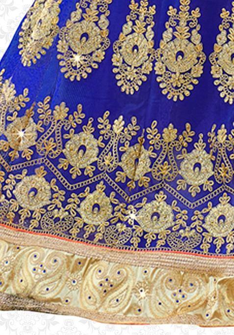 Blue Embroidered Net Lehenga Set