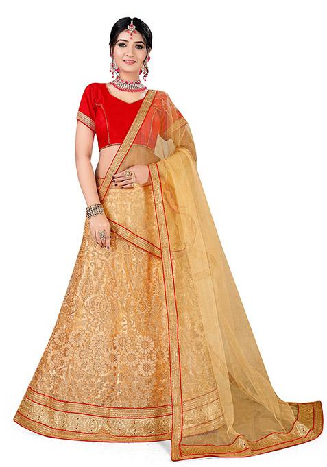 Beige Embroidered Net Lehenga Set