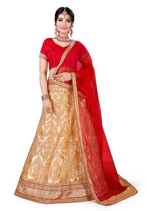 Beige Embroidered Net Lehenga Set