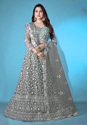 Beige Embroidered Net Lehenga Set