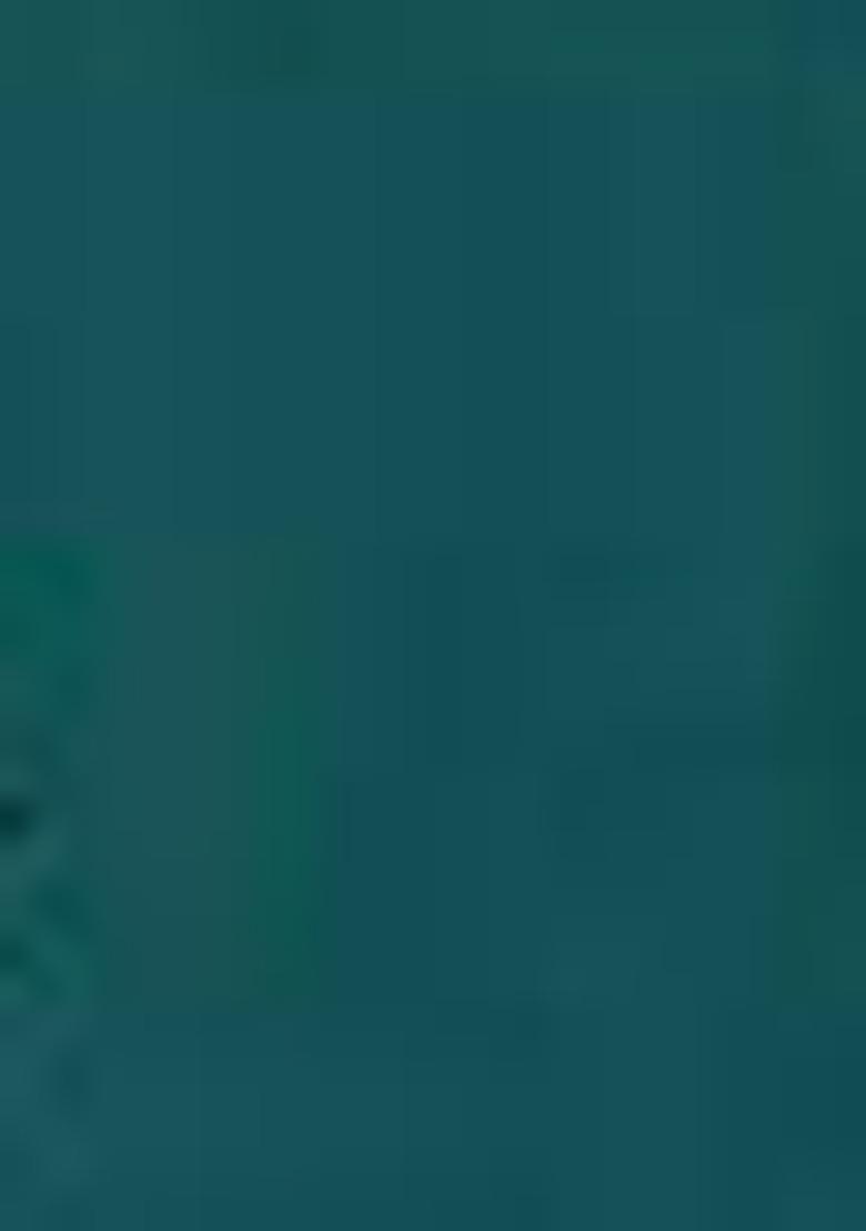 Green Embroidered Silk Lehenga Set With Dupatta