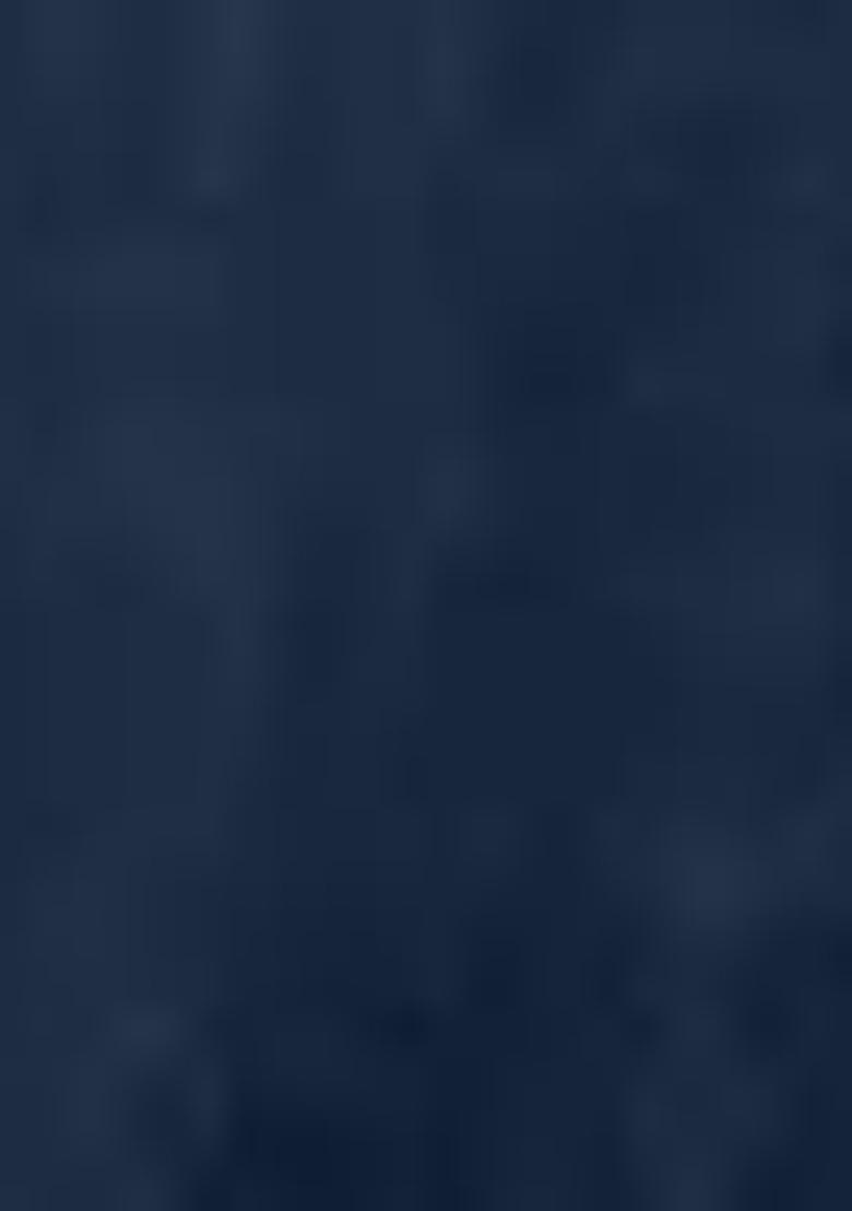 Navy Blue Embroidered Silk Lehenga Set With Dupatta