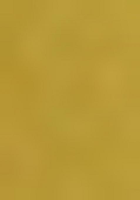 Mustard Yellow Embroidered Georgette Lehenga Set With Dupatta