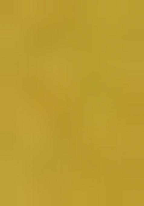 Mustard Yellow Embroidered Georgette Lehenga Set With Dupatta