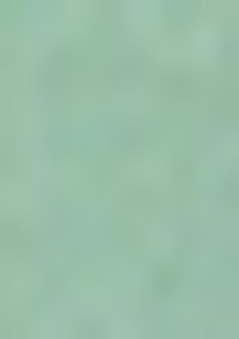 Pista Green Embroidered Georgette Lehenga Set With Dupatta