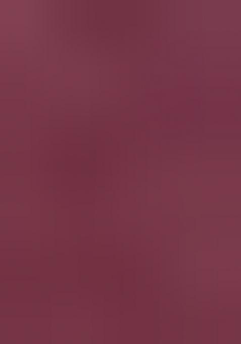 Wine And Beige Georgette Sequin Embroidered Lehenga Set