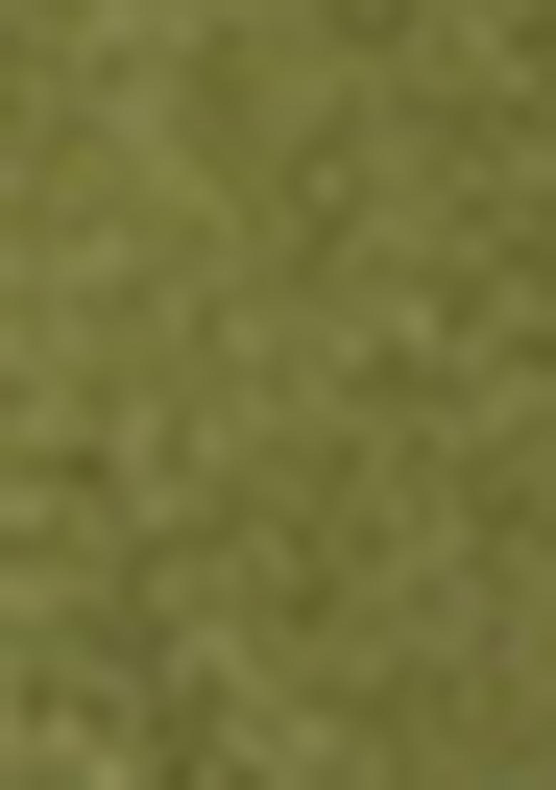 Mahendi And Brown Georgette Sequin Embroidered Lehenga Set