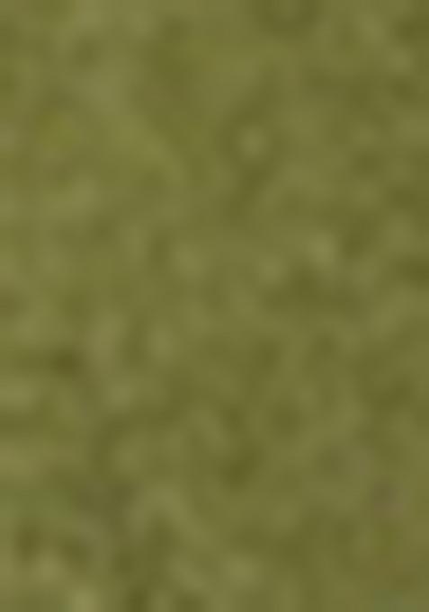 Mahendi And Brown Georgette Sequin Embroidered Lehenga Set