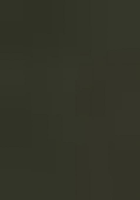 Mahendi Green Sequence Zari Georgette Lehenga Set