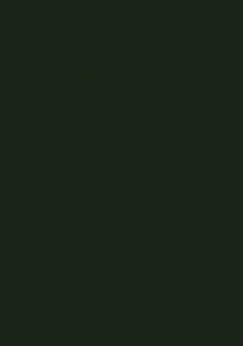 Green Embroidered Velvet Lehenga Set With Dupatta