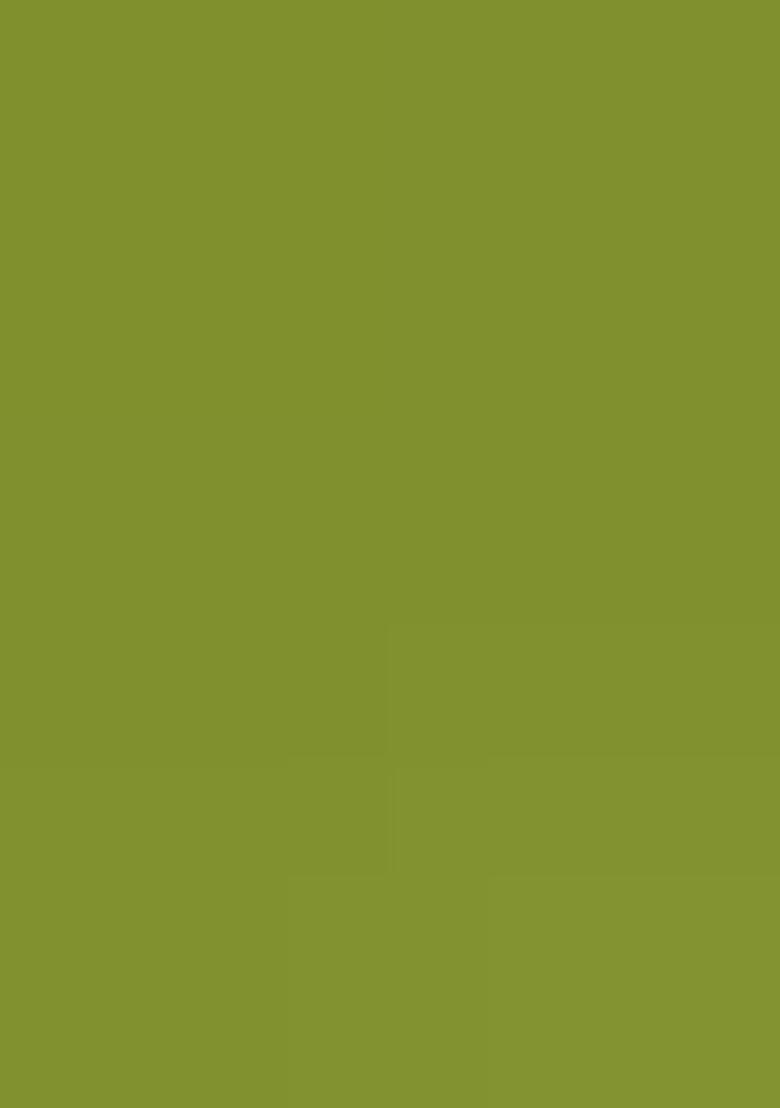 Green Embroidered Silk Lehenga Set With Dupatta