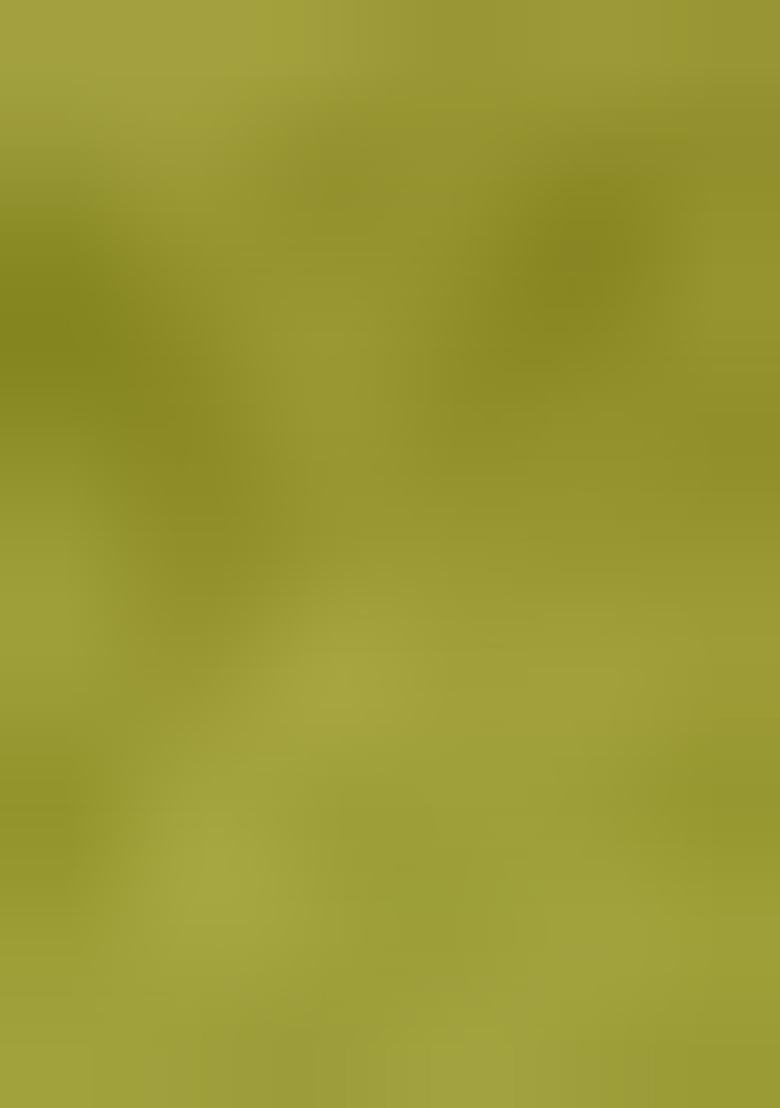 Green Embroidered Silk Lehenga Set With Dupatta