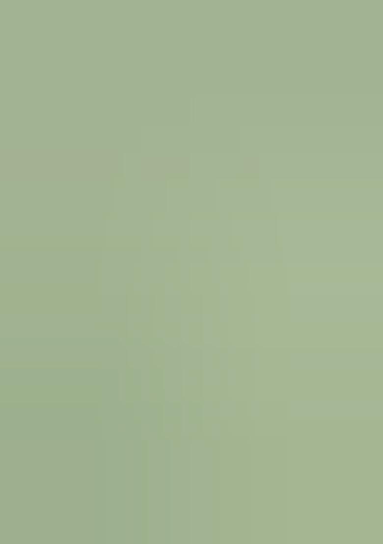 Green Embroidered Silk Lehenga Set With Dupatta