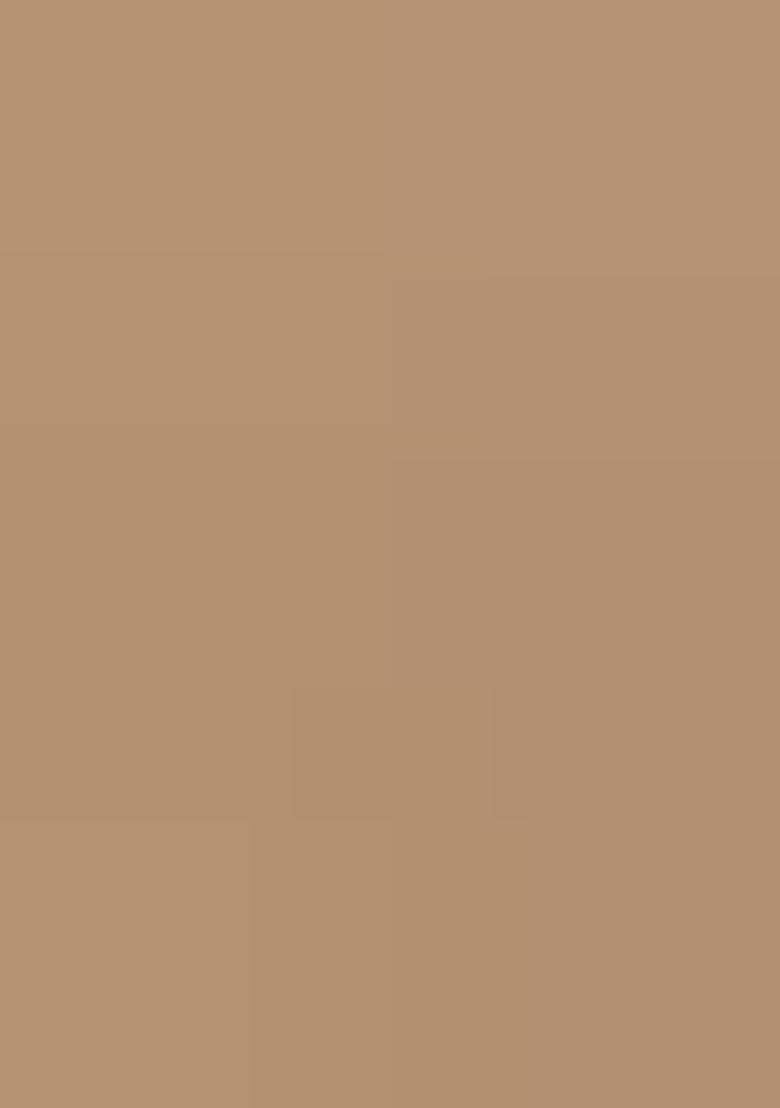 Beige Embroidered Net Lehenga Set With Dupatta