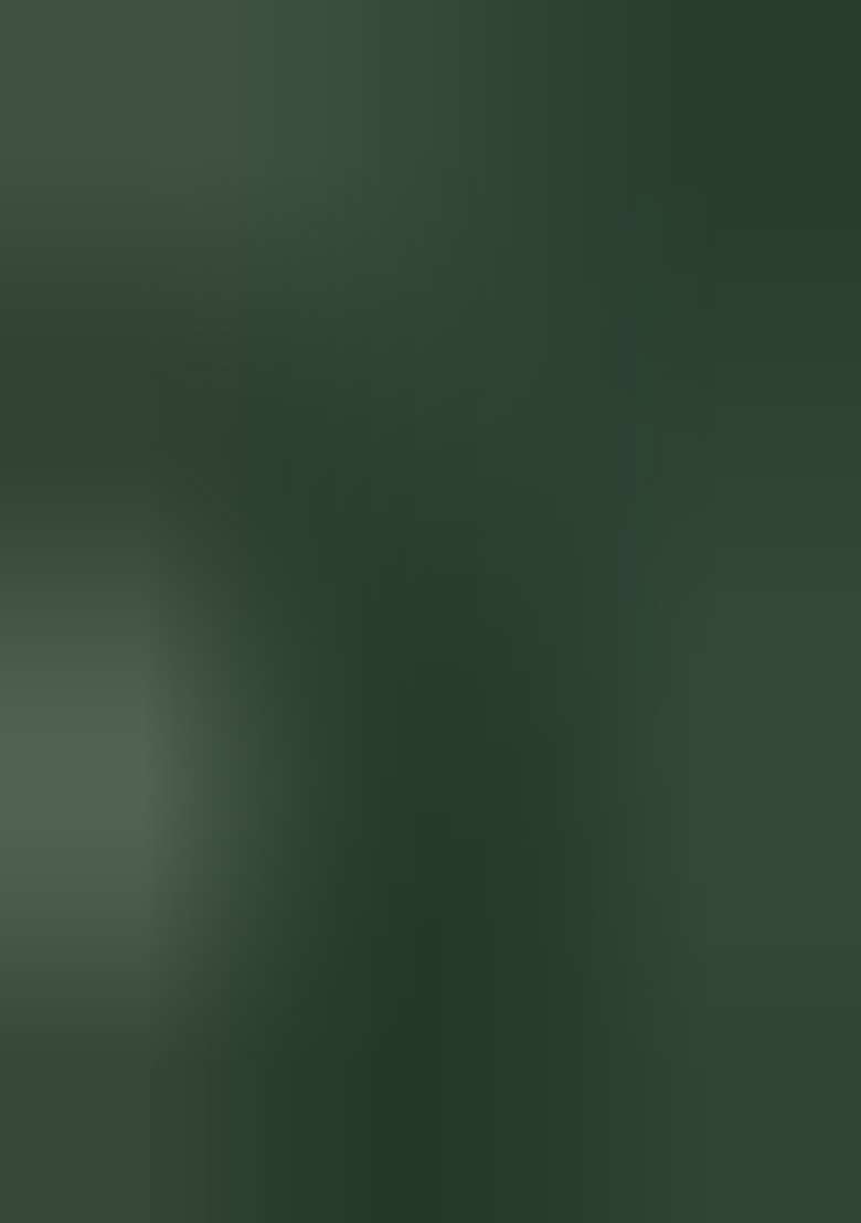 Green Printed Silk Lehenga Set With Dupatta - Indya