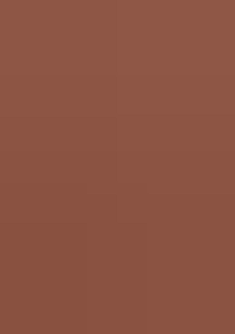 Brown Embroidered Chanderi Lehenga Set With Dupatta