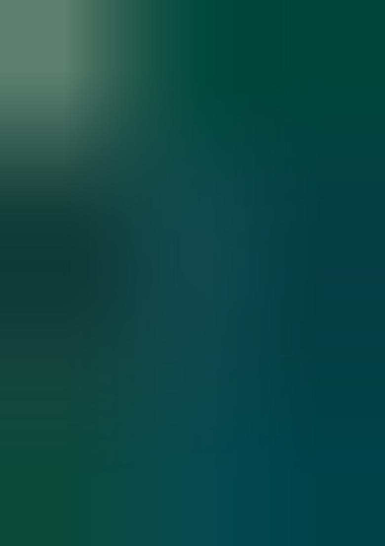 Green Embroidered Silk Lehenga Set With Dupatta