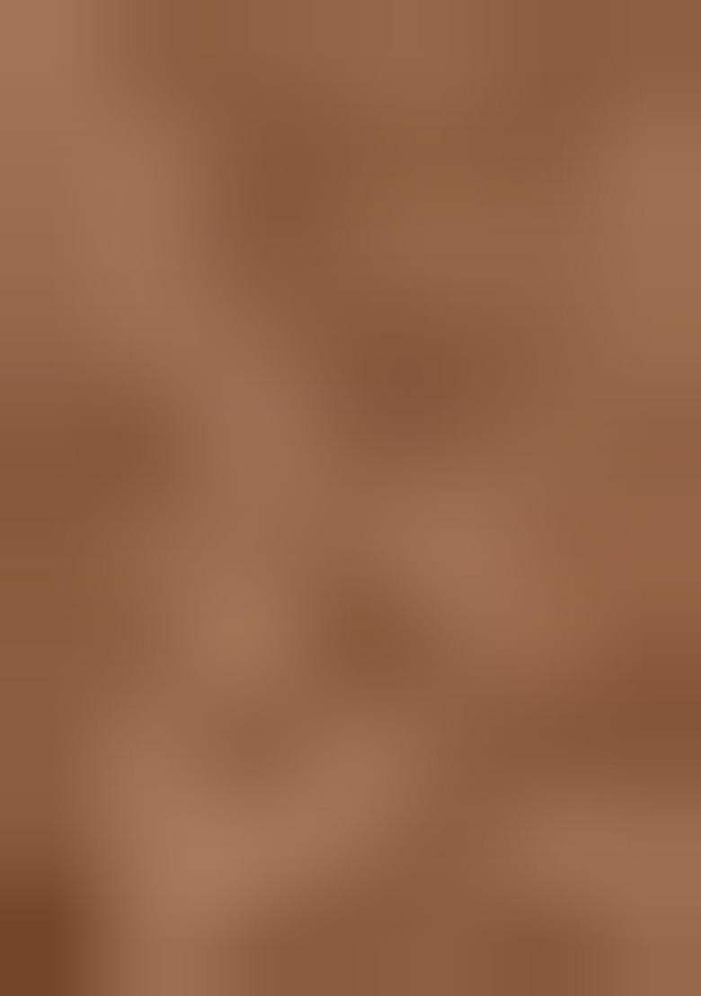 Beige Embroidered Georgette Lehenga Set With Dupatta