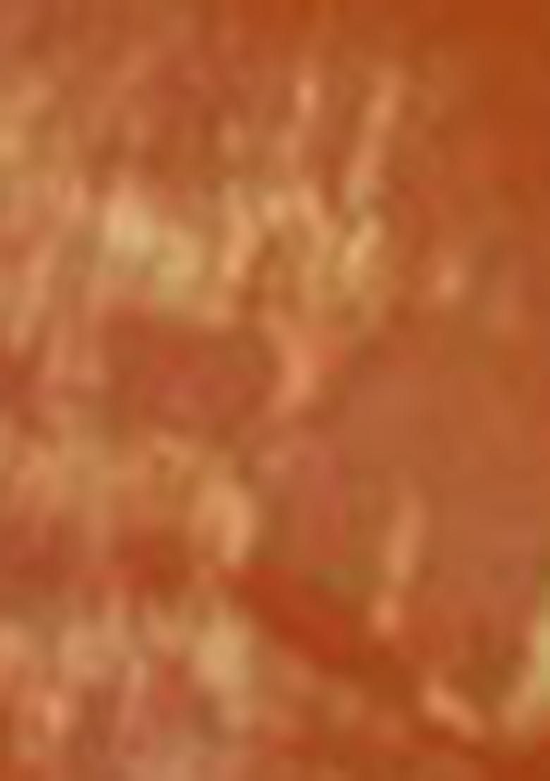 Orange Embroidered Silk Lehenga Set With Dupatta