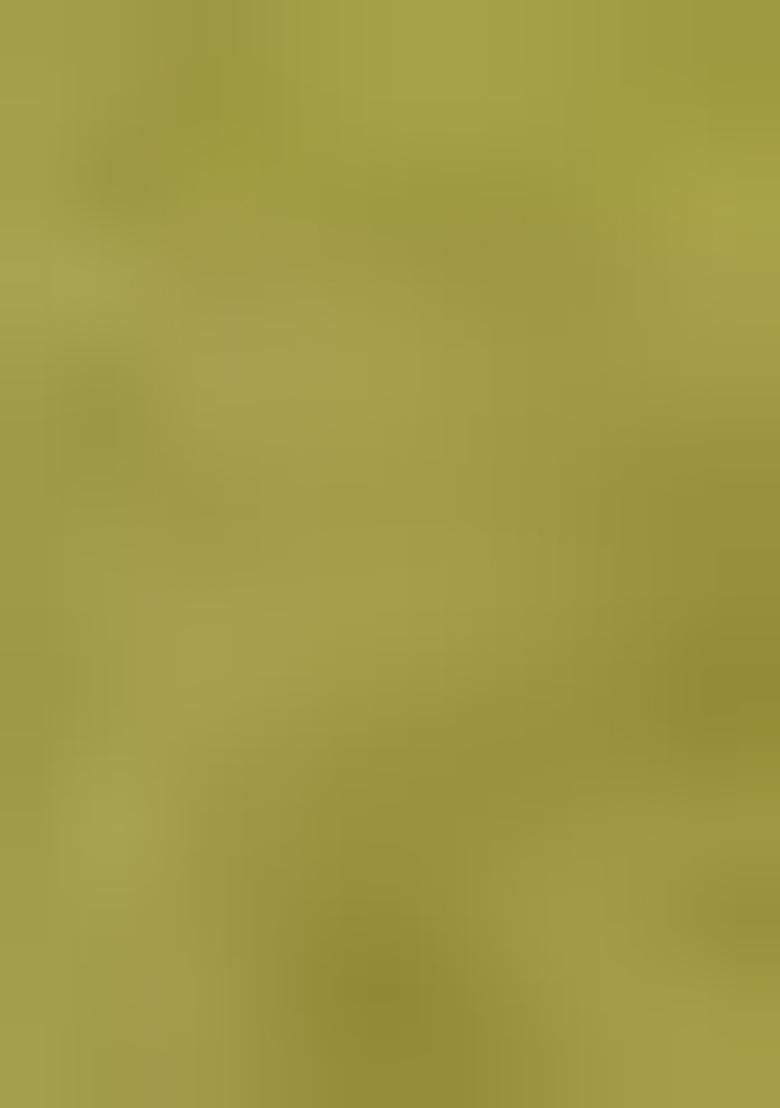 Green Embroidered Cotton Lehenga Set With Dupatta