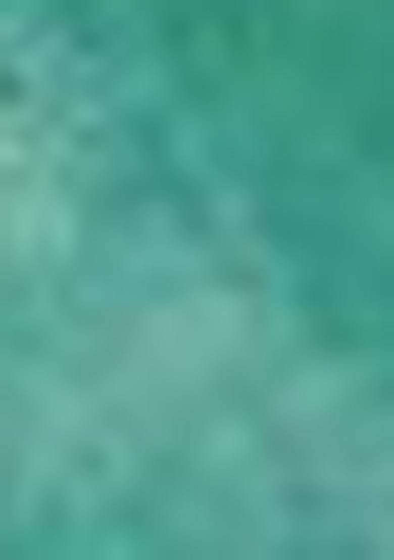 Sky Blue Embroidered Silk Lehenga Set With Dupatta